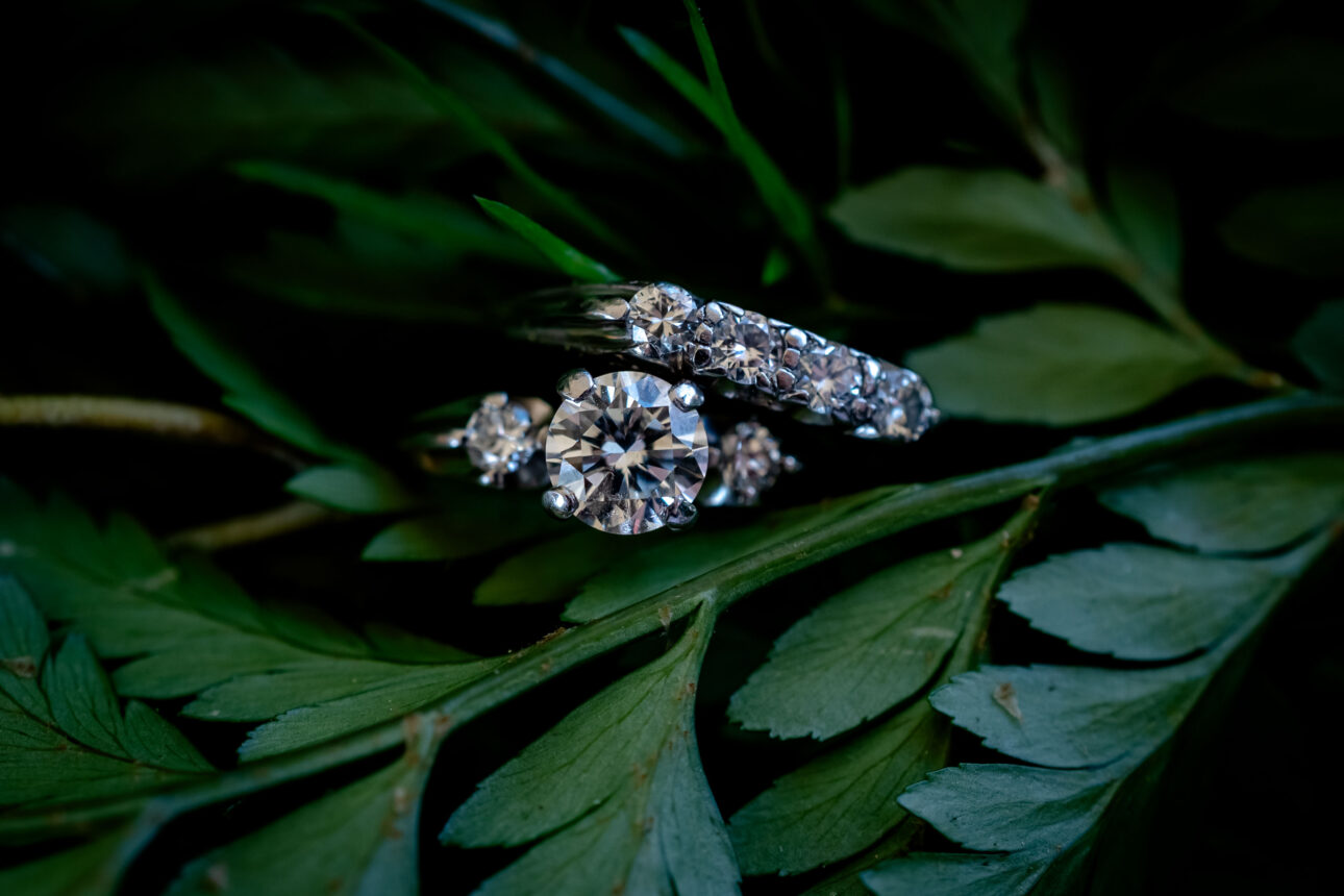 close up shot of wedding rings in greenery
